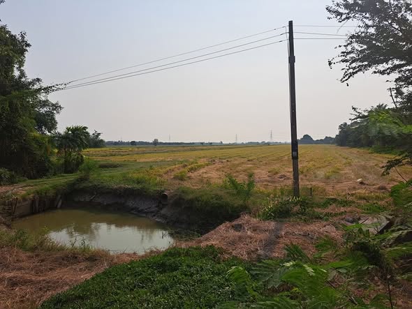 ขายที่ดิน  ลำลูกกา จ. ปทุมธานี 